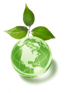 Kallen environmentally friendly products for pre-press